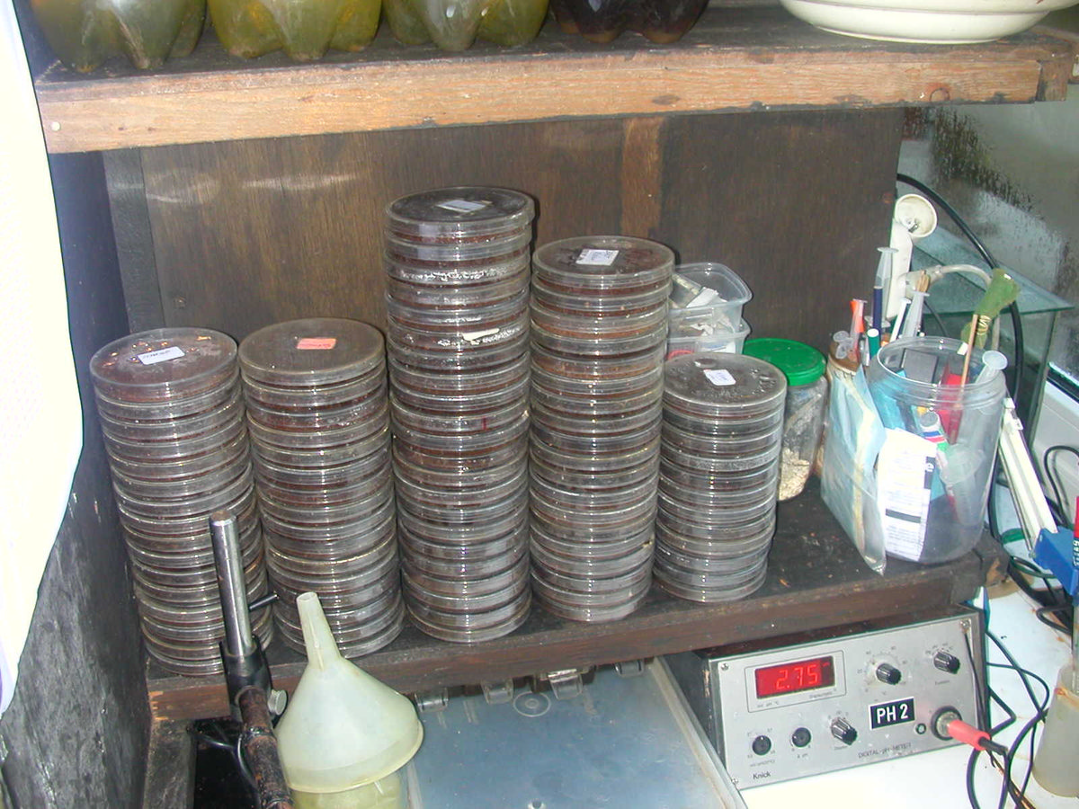 Stockage sachets